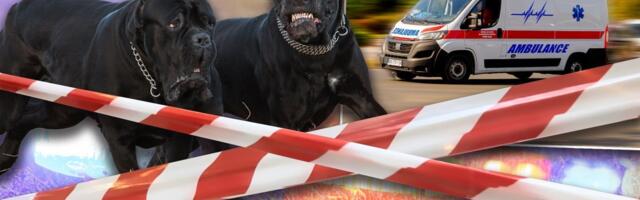 Čuo se vrisak, ležala je u lokvi krvi: Komšije gledale kako Beograđanku kidaju psi u dvorištu - Policija odmah ustrelila zveri