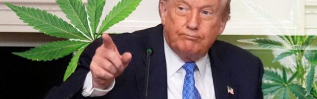 TRAMP DONEO ODLUKU O PRIMENI KANABISA: Ovo će iznenaditi sve