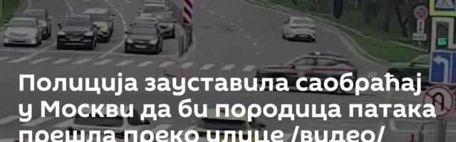 Полиција зауставила саобраћај у Москви да би породица патака прешла преко улице /видео/