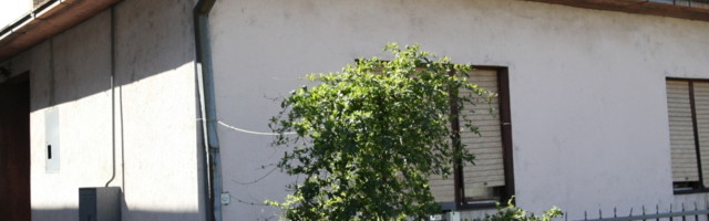 Dolazi Mujo kući sa posla, Fata ga gleda pa mu poče prilaziti glumeći se*si scenu. Hvata ga za kravatu...