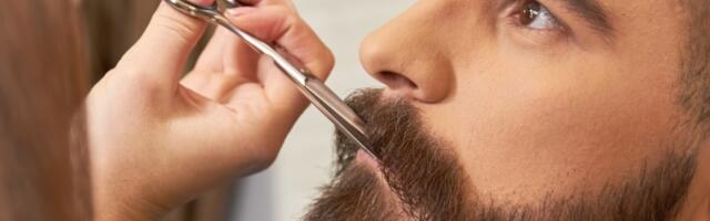 Brada - da ili ne?