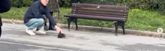 Najslađa scena na Kalemegdanu: Dok su ljudi šetali, pridružio im se krzneni, razigrani stvor, pa sve raznežio