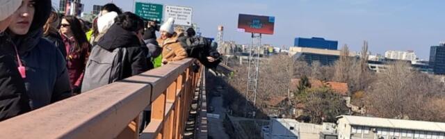 15 ruža za 15 žrtava: Studenti bacili cveće u reku u znak sećanja na stradale u Novom Sadu (VIDEO)