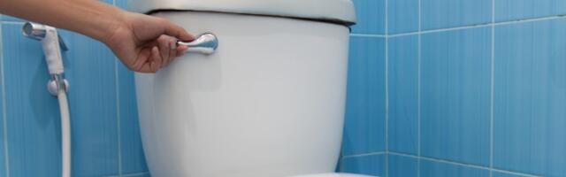 Stvar koju KORISTITE SVAKI DAN ima više bakterija nego WC ŠOLJA