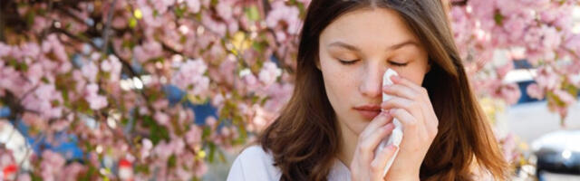 BEOGRAĐANI NE MOGU DA UDAHNU! Masovno krenula alergija na POLEN, evo kako sprečiti ozbiljne posledice!