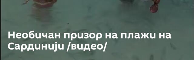 Необичан призор на плажи на Сардинији /видео/