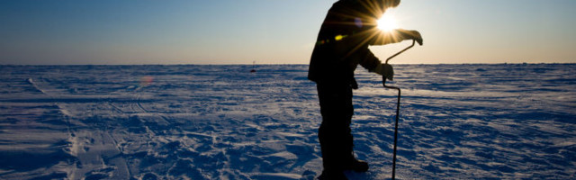 Животиње су биле замрзнуте 24.000 година на Арктику, кад су их научници одледили, оживеле су /видео/