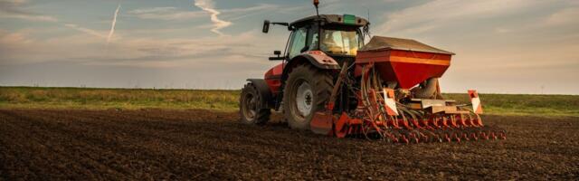 Ova biljka je BUDUĆNOST Srbije: Štedi novac, zarada je tu već posle prve sezone, a podnosi sušu bolje od soje