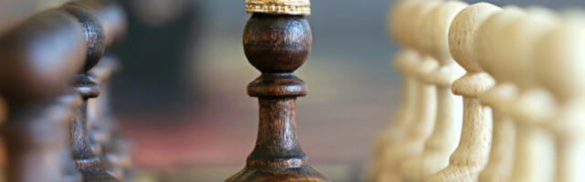 PAMETNI KAO PČELICE: Ova tri znaka Zodijaka su NAJMUDRIJA!