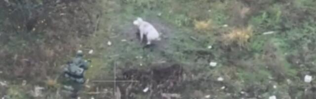 NEVIĐENA SITUACIJA! Neočekivani heroj spasao dva života usred ratne zone, snimak zapalio mreže (VIDEO)