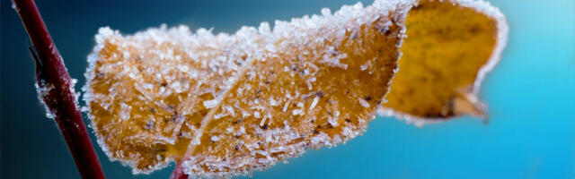 Jutro hladno sa mrazem: Pre podne oblačno i suvo, posle podne razvedravanje