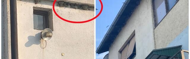 Nestvaran prizor u selu u Vojvodini: Laste napravile čak 70 gnezda na jednoj kući, pogledajte kako preleću