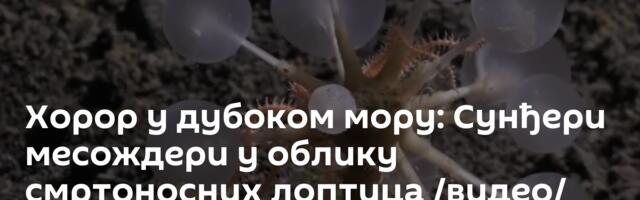 Хорор у дубоком мору: Сунђери месождери у облику смртоносних лоптица /видео/