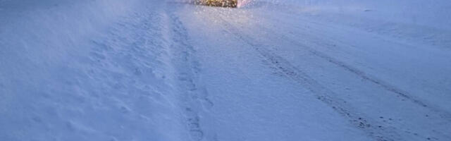 Проглашено ванредно стање у 20 америчких држава