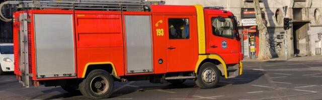 NA GLAVI KACIGA, U RUKAMA NI 5 KILOGRAMA! Hrabra akcija vatrogasaca u Kisaču: Spasili nesvakidašnje aktere požara (FOTO)