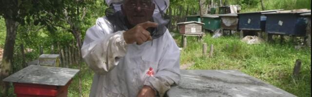 Počeo je da se bavi pčelarstvom sa 12 godina, pa postao najstariji pčelar u Srbiji: "Svaki ujed je opasan"