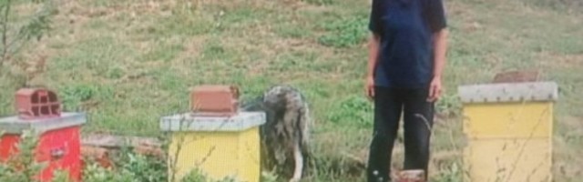 (VIDEO) ROBINZONKA SA CRNOG VRHA: Sa divljim zverima nema problem, na njenom imanju SVI SU PITOMI, PRIRODOM LEČI DUŠU!