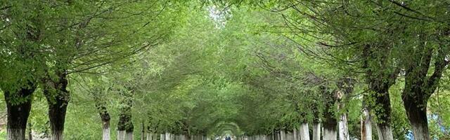 Na 80 odsto ulica u Belom Blatu i dalje se nalazi kaldrma