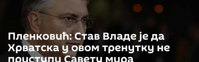 Пленковић: Став Владе је да Хрватска у овом тренутку не приступи Савету мира