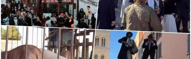 ZADRANIMA PALE VILICE KAD SE OVAJ AUTOBUS PARKIRAO USRED GRADA?! Na njemu ćirilica, unutra prasići! A tek kad je majstor razvukao harmoniku (VIDEO)