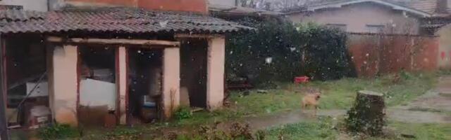 POSLE PROLEĆNIH DANA VEJE SNEG U NIŠU: Baba marta se ne predaje, pogledajte nesvakidašnje scene iz srpskog grada (VIDEO)