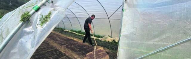 Nakon školovanja u Beogradu, Ljubisav se posvetio poljoprivredi: Vratio se u rodno selo, pa pokrenuo svoj biznis (FOTO)