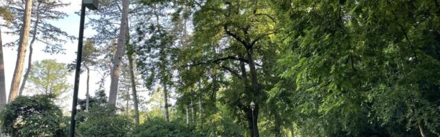 Sutra toplo, uveče kiša sa grmljavinom
