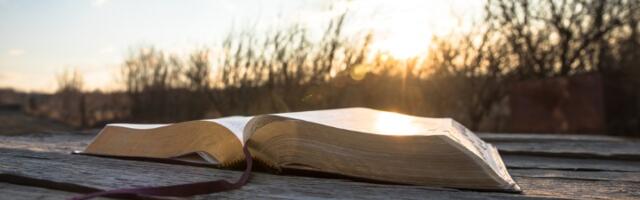 "Sve što je više od onoga što nam je potrebno je OTROV"