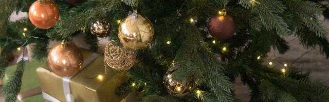 Radili ste sve pogrešno: Jedan jednostavan trik učiniće da veštačka jelka izgleda kao prava