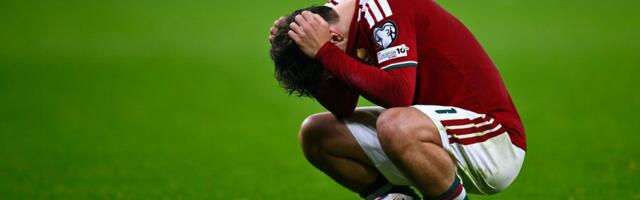 Komšije šokantno ostale bez SP, a onda uradile nešto o čemu Srbija može samo da sanja: Ovo se retko viđa