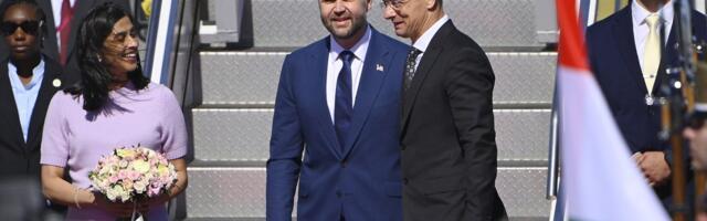 Koliko ljudi iz Srbije ima pravo glasa poštom na izborima u Mađarskoj?