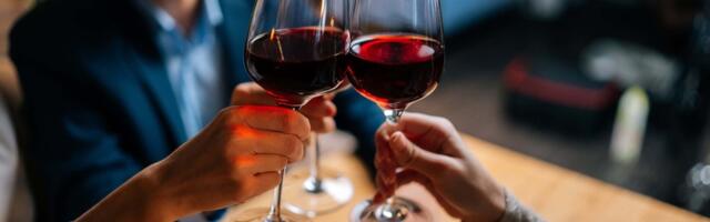 Domaća vina osvajaju Bavarsku: Serbian Wine Fest okupio diplomate