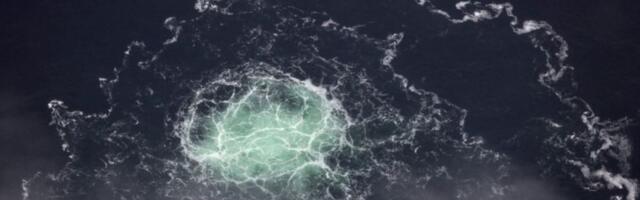 Hoće li uništavanje Severnog toka imati ekološke posledice?