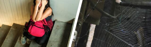 Kuća strave u Dolovu: Kinezi bili oduševljeni kanalom u garaži, tu su SILOVALI žene, zagrađeni jezivom ogradom