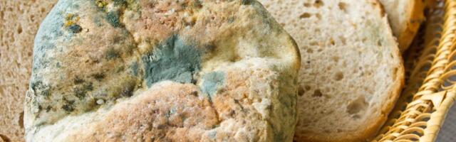 Ovo je jedini ispravan način čuvanja hleba: Pekari su otkrili najveću grešku koju svi prave i onda propada