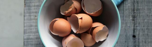 Bacate ih svaki dan, a ne znate da su pravo blago: Ljuske od jaja imaju pravu moć u domaćinstvu