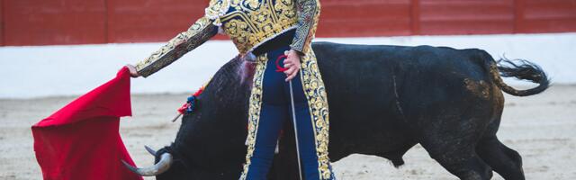 BIK MU ROGOM PROBIO BUTINU! Toreador teško povređen u koridi (FOTO)