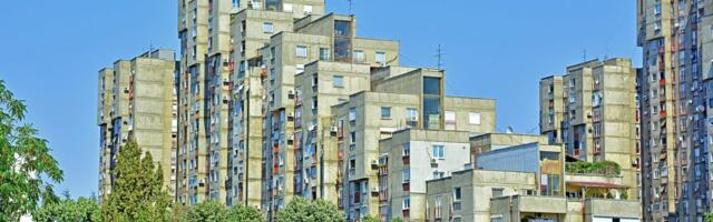 Šok na Novom Beogradu: Građani ne veruju šta vide, ovo je pravo čudo (FOTO)