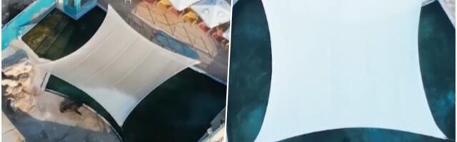 POSLEDNJA SLAMKA SPASA ZA MAJKU I SINA! Orka kitovi ostavljeni da UGINU u ZAPUŠTENOM zabavnom parku, hoće li posle 16 meseci PAKLA konačno biti izbavljeni?!
