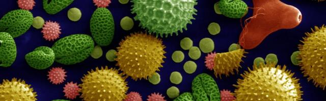 Otkriće o razmnožavanju biljaka moglo bi otvoriti put za nove vrste