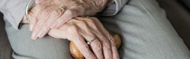 Миланска полиција ухапсила банду са шефицом групе од 96 година