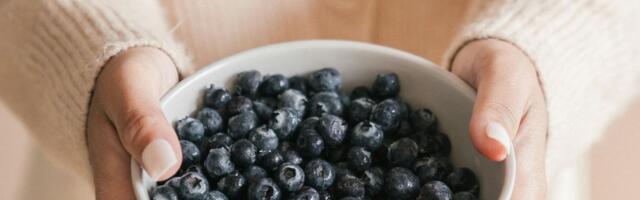 Neurolozi otkrivaju: Pola šolje borovnica dnevno može promeniti arhitekturu vašeg mozga