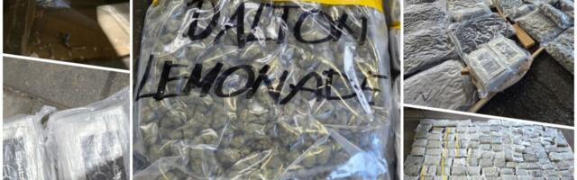 NA BATROVCIMA ZAPLENJENA OGROMNA KOLIČINA DROGE: Pogledajte kako je uhapšeni Novosađanin u kese i torbe spakovao preko 200 kg! (foto,video)