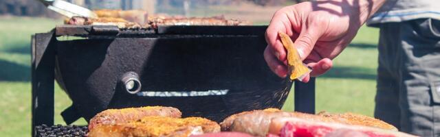 Kako Nišlije provode 1. maj? Neradno na Međunarodni praznik rada