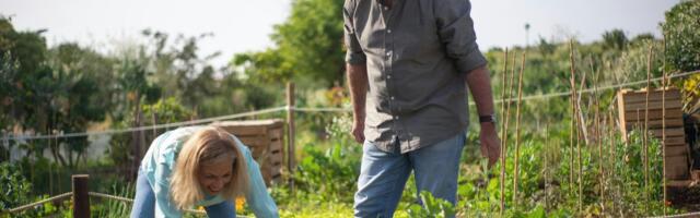 Zimska tajna: Ako SADA uradite OVO u vrtu, sledeće godine LISNE VAŠI neće imati šanse!