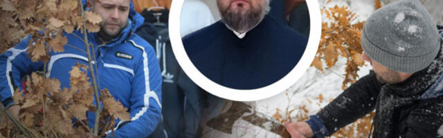 KAD SE SEČE BADNJAK - UJUTRU ILI PREDVEČE: Otac Dejan o onome što malo vernika zna