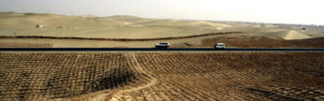 Кина: пошумљавање Такламакана постаје усисивач угљеника