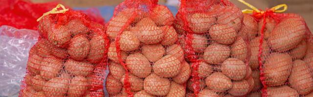 Istina o krompiru: Da li je nepravedno optužena namirnica ili je stvarno PROBLEM