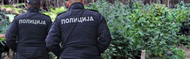 Kod sebe imao pola kilograma marihuane: Uhapšen muškarac u Novom Sadu