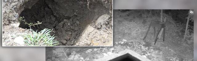 SABLASNI SNIMCI PREKOPAVANJA GROBOVA U SRBIJI PREPLAVILI MREŽE Upadaju noću i sve urade za par minuta: "Dolazili su i rekli samo jedno, sad smo na mukama" VIDEO